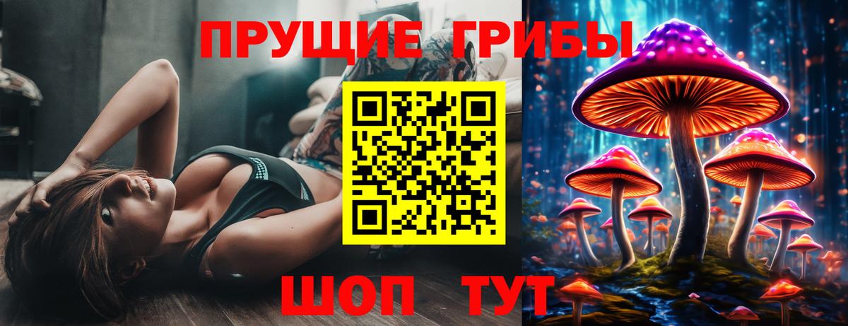 Волгоград  Галлюциногенные грибы мицелий  Вход с VPN 